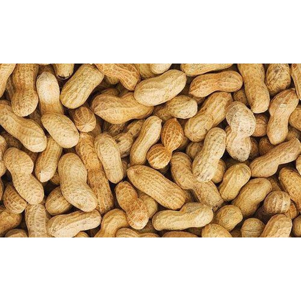 Raw Peanuts